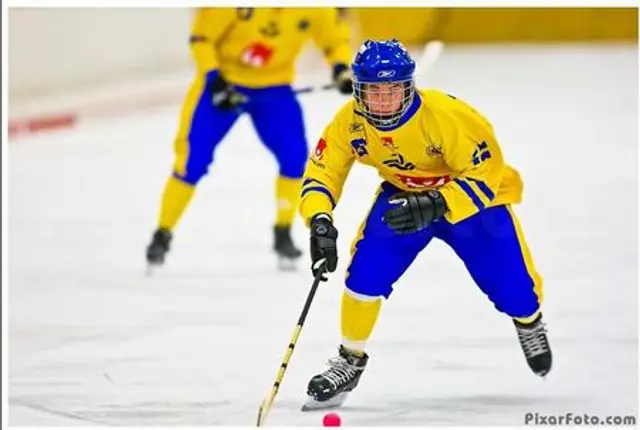 Sex Vetlanda BK-spelare tog guld i helgen