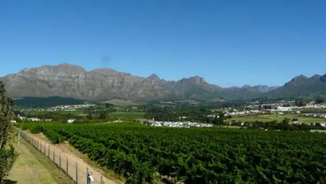 Ett nedslag: Steve Barker till Simba SC- vad betyder det?