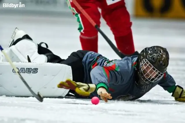 Vitryssland stoppas fr&aring;n spel i bandy-VM