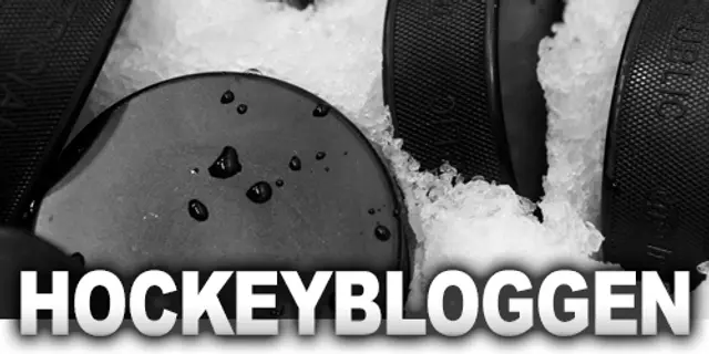 Hockeybloggen: Förbundet måste ta sitt ansvar för hela hockeysverige