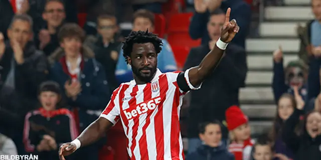 Wilfried Bony