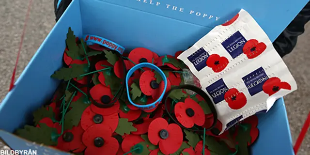 The Poppy, with or without you?