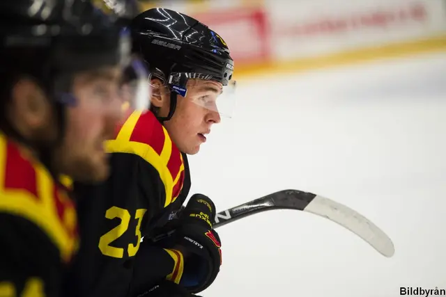 Förlust trots drömstart av Brynäs