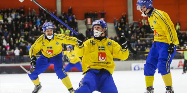 Sverige fixade VM Guld!