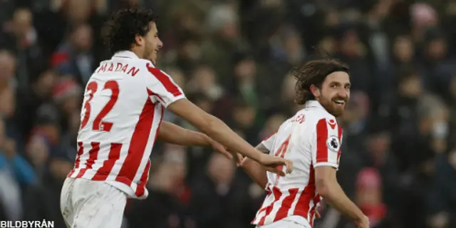 Stoke City v Crystal Palace 1-0 (0-0)