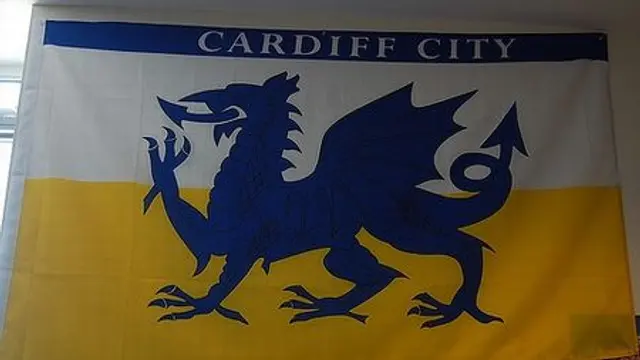 Inf&ouml;r Southampton – Cardiff City