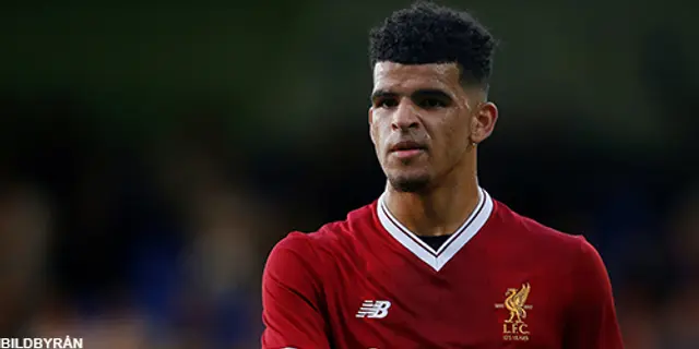 Dominic Solanke