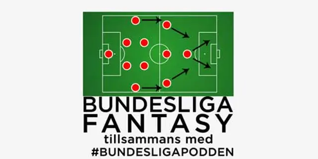 Bundesliga Fantasy #1: Introduktion