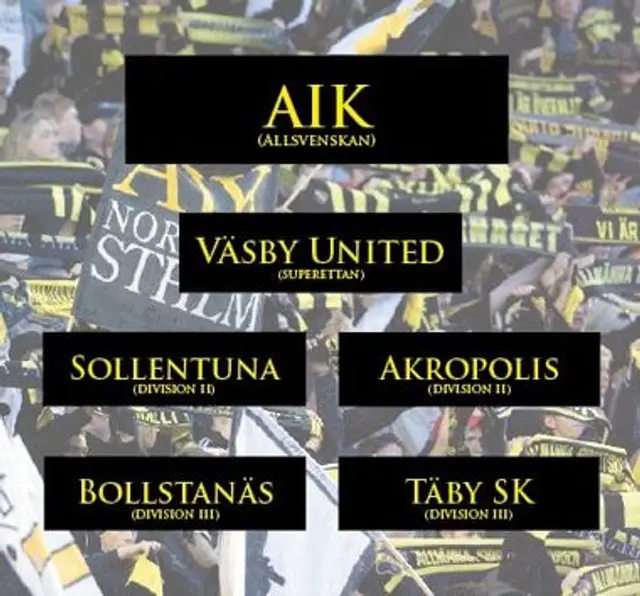 N&auml;ringskedjan - AIK:s framtid. 