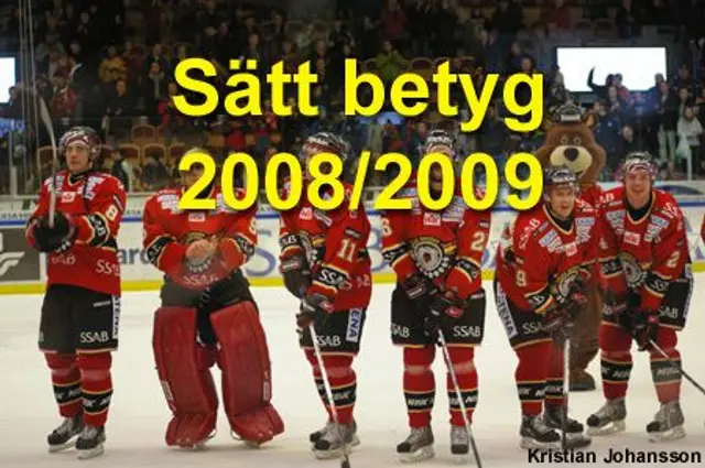 Betygs&auml;tt spelarna s&auml;songen 2008/2009