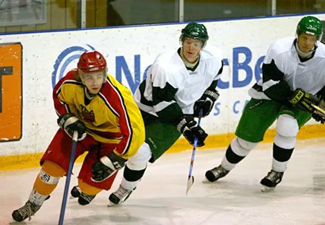 Prelimin&auml;rt S&ouml;dra gruppen f&ouml;r Bajen 