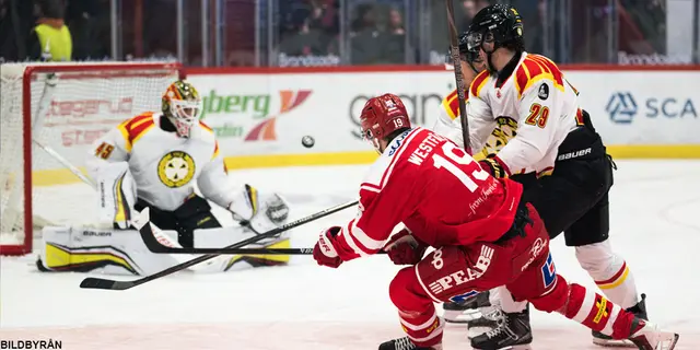 Inför Timrå-Brynäs