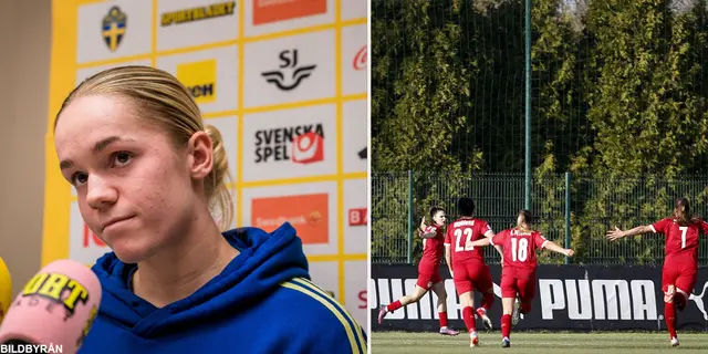 Kritiken inför landskampen: ”Skulle aldrig göra det i Sverige”