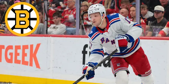 Offseason Boston Bruins: Del 7