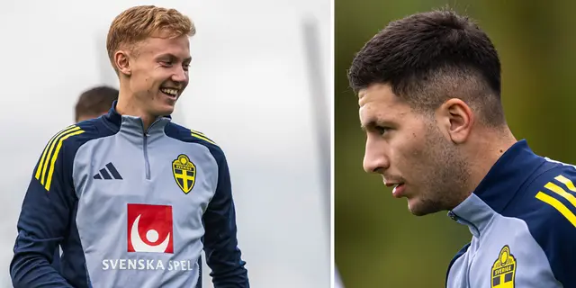 TV: Hugo Larsson om Roony Bardghji