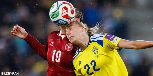 Spelarbetyg: Sverige - Danmark