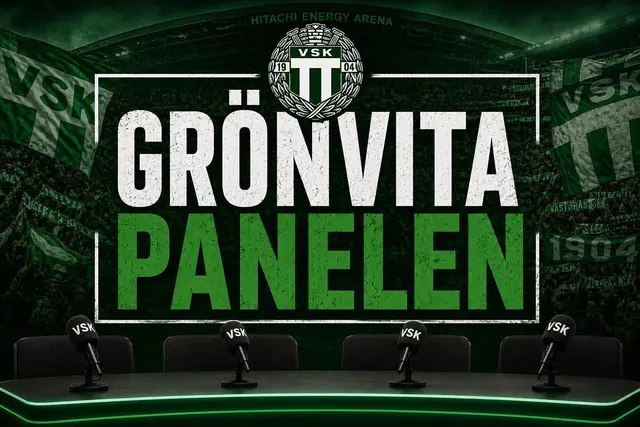 Grönvita panelen: "Fler tar ansvar efter att Ladefoged försvann"