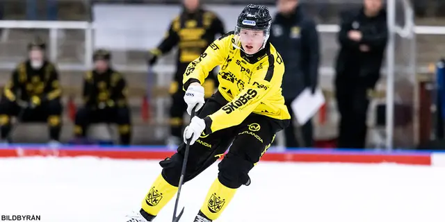 Halvtid Elitserien - så bra har ditt lag spelat