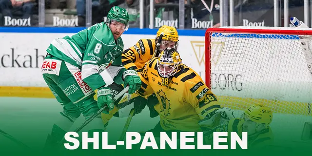 SHL-Panelen: De vinner SM-guld
