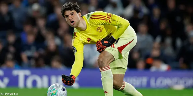 Viktor Gyökeres snuvad – han är årets nyförvärv i Premier League