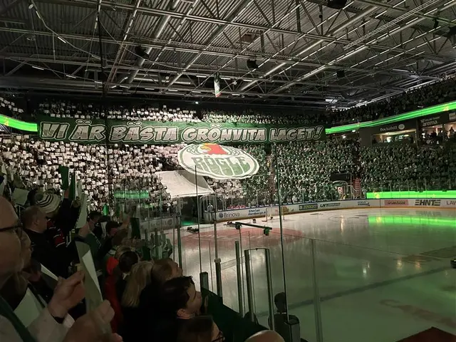 Krönika: Rögle faller på eget grepp