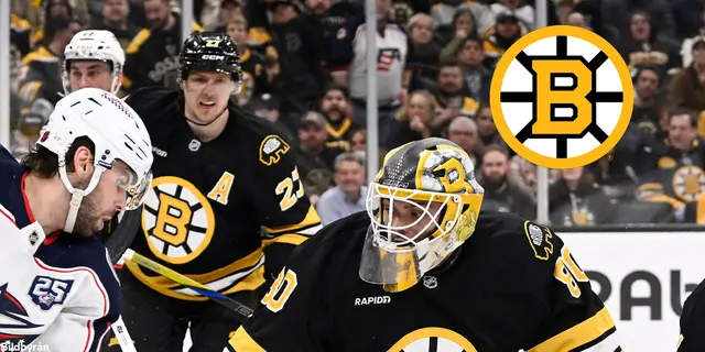 Offseason Boston Bruins: Del 9