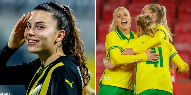 Skribenterna om Hammarby och Häckens Europalottning