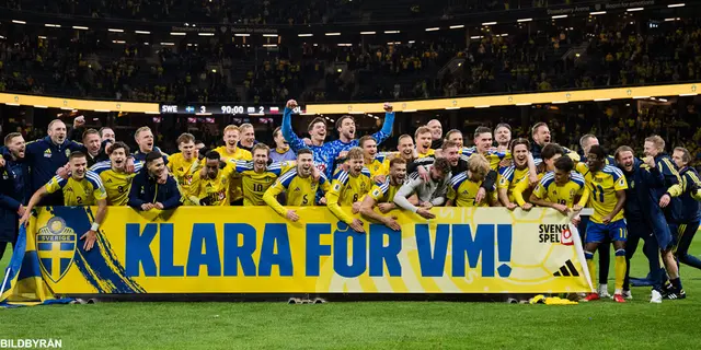 Bildextra: Glädjescener efter Sveriges seger