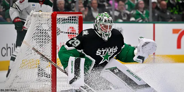 Laggenomgång Dallas Stars - Målvakter.