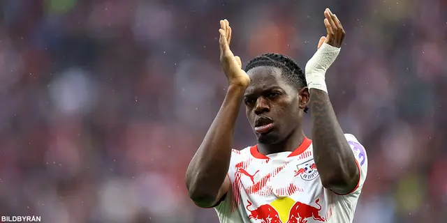 Lukeba kan bli vinterfönstrets stjärnnamn