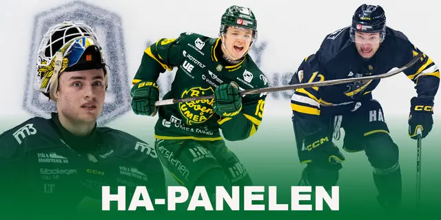 Panelen summerar Hockeyallsvenskans grundserie