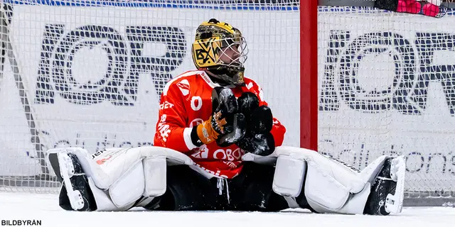 Så slutade helgens matcher i Elitserien