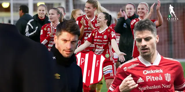 Från Swansea City till Piteå 