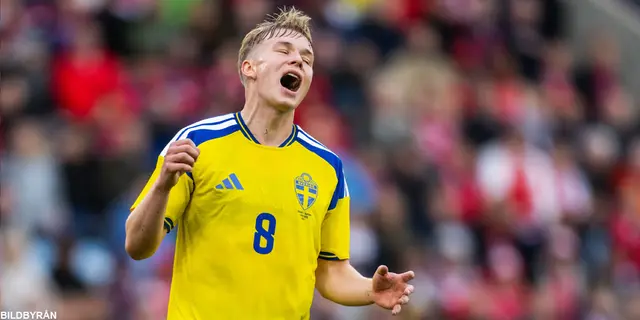 Spelarbetyg: Norge - Sverige