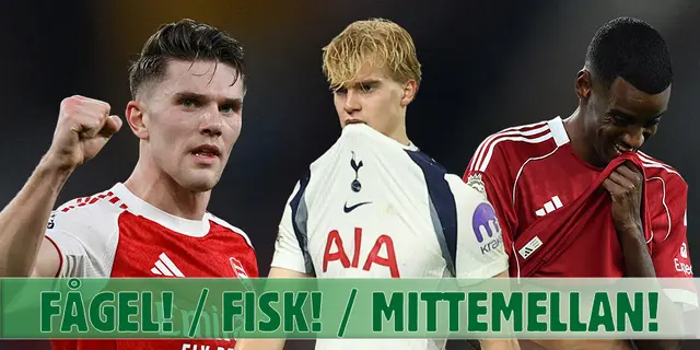 Fågel, fisk eller mittemellan: Svenskarna i Premier League