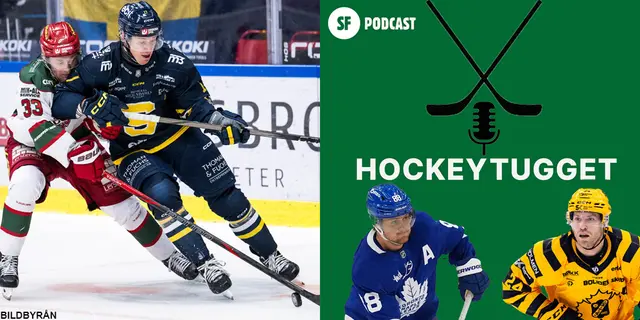 Hockeytugget #6: "Skitnödigt av förbundet"