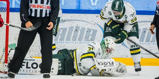 Olle Eriksson Ek guld värd för Björklöven