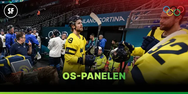 OS-panelen: