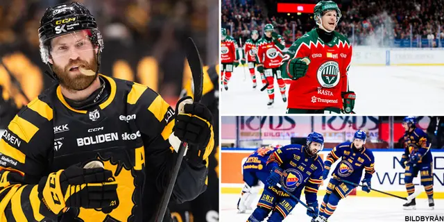 Skribenterna tippar - Så slutar SHL