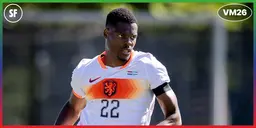 Denzel Dumfries