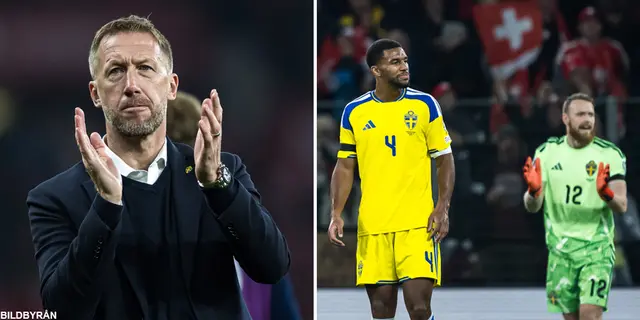 Landslagspanelen: “Sverige måste hitta en ledare”