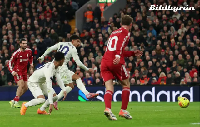 Matchsammanfattning Pool- Forest 