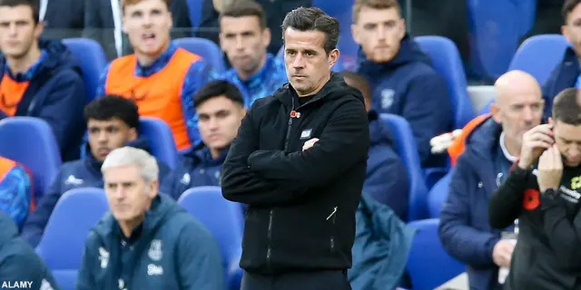 Därför har säsongen startat dåligt för Fulham