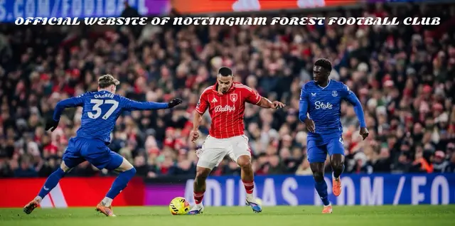 Ett effektivt Everton besegrade Nottingham med 2-0 på City Ground/ Spelarbetyg Forest