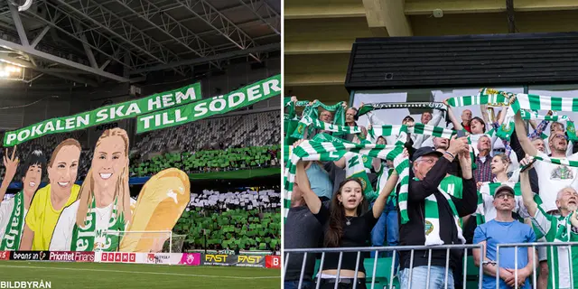 Årets fans är Hammarbys – enligt internationellt fotbollsmagasin