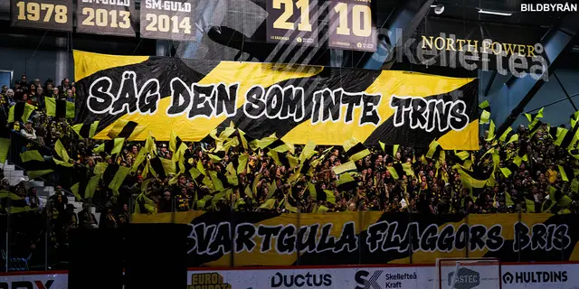 Solid laginsats sänkte Davos – nu väntar lyxproblem för Skellefteå inför premiären
