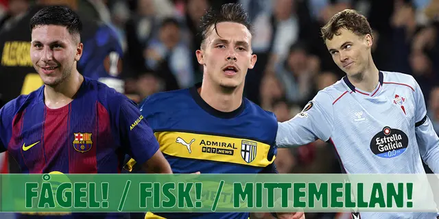 Fågel, fisk eller mittemellan: Svenskarna i La Liga och Serie A