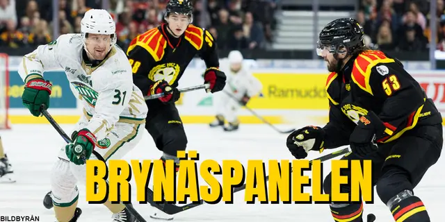 Brynäspanelen: Vad gick fel – och vad händer med Bäckström?