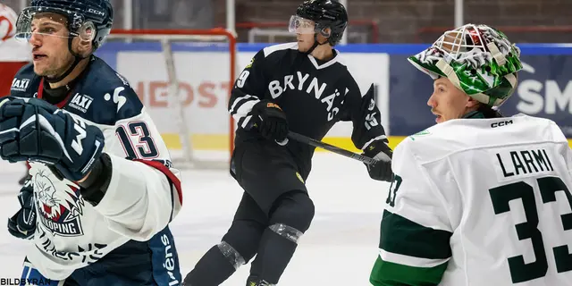Team of the Silly: SHL