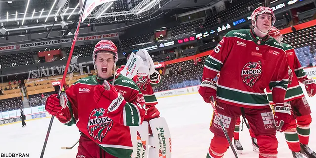 Tidig seriefinal i Hockeyallsvenskan- Redaktionerna säger sitt